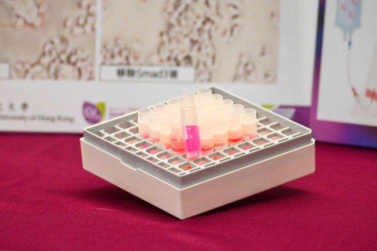 Featured are gene-engineered anti-cancer neutrophils produced in laboratory.